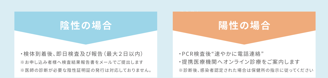 陰性の場合、陽性の場合